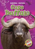 Cape_buffalo